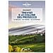 Denis Falconieri - Treviso e le colline del prosecco Pocket - Foto miniatura 1