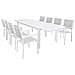 Set Tavolo Giardino Rettangolare Allungabile 200/300 X 100 Con 8 Poltrone In Alluminio Bianco Da Esterno Giardino - Foto miniatura 1