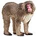 Wild Life 14871 Action Figure Giocattolo (Wild Life Japanese Macaque Toy Figure, 3 To 8 Years, Brown [ - Foto miniatura 1