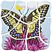 Puzzle Didattico Farfalla - Foto miniatura 2