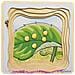 Puzzle Didattico Farfalla - Foto miniatura 6