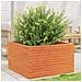 Fioriera Giardino Marrone Cera 80x80x46 Cm Legno Massello Pino - Foto miniatura 4
