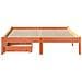 Letto senza Materasso Marrone Cera 120x190 cm in Legno di Pino - Foto miniatura 4