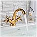 Rubinetto per lavabo da bagno, Blackswan, tipo M294, modello oro lucido, misura 14 cm - Foto miniatura 4