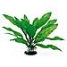 Decorazione In Plastica Per Acquari Pianta Di Echinodorus Wave Classic Lg - Foto miniatura 1
