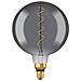 Edition 1906 Globo 200mm Led Trasparente Filamento Variabile Fumo - 5w Equivalente 12 E27 - Bianco Caldo - Foto miniatura 3