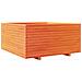 Fioriera Giardino Marrone Cera 100x100x49,5 Legno Massello Pino - Foto miniatura 2