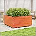 Fioriera Giardino Marrone Cera 100x100x49,5 Legno Massello Pino - Foto miniatura 3