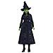Bambola Mattel-wicked-elphaba Con Accessori E Vestiti Rimovibili - Wicked - Hxt62 - Foto miniatura 1