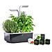 Smart Garden Grigio Scuro - Coltivazione Indoor Con Regolazione Automatica Del Led In Base Alla Luce Ambientale - Kit Di 4 Semi Inclusi - Foto miniatura 1