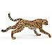 -dipinto A Mano - Figurina -regno Degli Animali Selvatici - Ghepardo In Corsa -50238 -da Collezione - Per Bambini - Adatto A Ragazzi E Ragazze- Dai 3 Anni - Foto miniatura 4