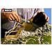 Stucco per riproduzione rocce di Arenaria 400 gr - Foto miniatura 1