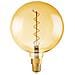 Edition 1906 Globo 200mm Led Trasparente Filamento Variabile Oro - 5 W = 28 - E27 - Bianco Caldo - Foto miniatura 3