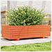 Fioriera Giardino Marrone Cera 90x40x26,5cm Legno Massello Pino - Foto miniatura 1