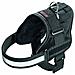 Xtreme Plus Imbracature - Foto miniatura 1