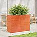 Fioriera Giardino Marrone Cera 90x40x68,5cm Legno Massello Pino - Foto miniatura 3