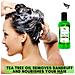 Tea Tree Oil Shampoo Anti Forfora - Made In Uk Terapeutico Grade Antifungini Per Dry Itchy A Fiocchi Cuoio Capelluto E Dei Capelli Previene Pidocchi Uomini Donne 250ml - Foto miniatura 2
