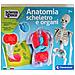 Anatomia Scheletro E Organi - Foto miniatura 1