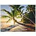 Puzzle Spiaggia Segreta 1500 Pz 80 x 60 cm 15015 - Foto miniatura 2