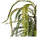 Pianta Artificiale Fern Leaf Plant Verde - Foto miniatura 3