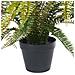 Pianta Artificiale Fern Leaf Plant Verde - Foto miniatura 4