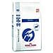 Cibo Cani Alimento Veterinary Diet Renal Cibo Secco 14 Kg - Foto miniatura 1