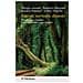 Giorgio Amadei - Foreste, territorio, dissesto. Prevenzione e bonifica a cent'anni dalla Legge Serpieri - Foto miniatura 1