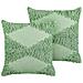 Set Di 2 Cuscini Rhoeo Cotone 45 X 45 Cm Verde Chiaro - Foto miniatura 3
