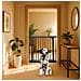 Bettacare Cancelletto Per Cani Elite Extra Alto, 198cm - 207cm, Nero Opaco, Extra Alto Con 100cm Di Altezza - Foto miniatura 3