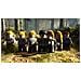 PC - Lego Harry Potter Anni 5-7 - Foto miniatura 5