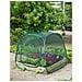 6020409 Serra Pop Up 100 X 100 X 100 Cm Verde - Foto miniatura 2