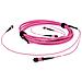 DC5250 cavo InfiniBand e in fibra ottica 5 m 2x MPO Viola - Foto miniatura 1