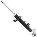 G16450 Ammortizzatore Set Di 2 - Foto miniatura 2