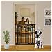 Bettacare Cancelletto Per Cani Elite Extra Alto, 225cm - 234cm, Nero Opaco, Extra Alto Con 100cm Di Altezza - Foto miniatura 3