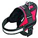 Xtreme Plus Imbracature - Foto miniatura 2