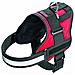 Xtreme Plus Imbracature - Foto miniatura 1