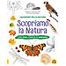 Andrea Pinnington - Scopriamo la natura. Colora, gioca e impara. Ediz. a colori - Foto miniatura 1