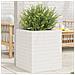 Fioriera da Giardino Bianca 40x40x46 cm Legno Massello di Pino - Foto miniatura 7