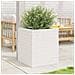 Fioriera da Giardino Bianca 40x40x46 cm Legno Massello di Pino - Foto miniatura 8