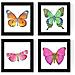 Set Di 4 Stampe 4 Mariposas Fogli. Senza Cornice 20x20 Cm - Foto miniatura 1