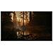 Alan Wake 2 Deluxe Edition Cinese semplificato, Cinese tradizionale, Tedesca, Inglese, ESP, Francese, ITA, Giapponese, Coreano, Polacco, POR-BRA, Russo, Ucraino PlayStation 5 - Foto miniatura 3