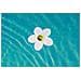 Waterlilly Surface Water Purifier - Foto miniatura 2