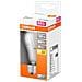 Radiatore Led Std Satinato 8.5w E27 806lm 2700k Chd Box 1 - Foto miniatura 7