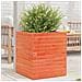 Fioriera Giardino Marrone Cera 40x40x46 cm Legno Massello Pino - Foto miniatura 5