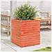 Fioriera Giardino Marrone Cera 40x40x46 cm Legno Massello Pino - Foto miniatura 7