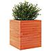 Fioriera Giardino Marrone Cera 40x40x46 cm Legno Massello Pino - Foto miniatura 8