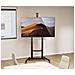 462709 Supporto TV a parete 3,05 m (120") Nero - Foto miniatura 4
