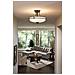 Quoizel Qz / griffin / sfmpn - Lampadario Da Soffitto, In Bronzo, 53,3 X 53,3 X 35,6 Cm - Foto miniatura 2