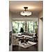 Quoizel Qz / griffin / sfmpn - Lampadario Da Soffitto, In Bronzo, 53,3 X 53,3 X 35,6 Cm - Foto miniatura 4
