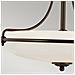 Quoizel Qz / griffin / sfmpn - Lampadario Da Soffitto, In Bronzo, 53,3 X 53,3 X 35,6 Cm - Foto miniatura 7